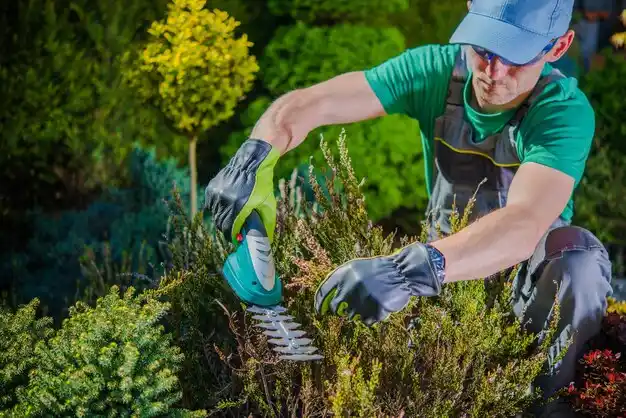 landscaping services Burnside